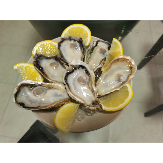 One Dozen Murotsu Oysters Sashimi Grade (M Size)