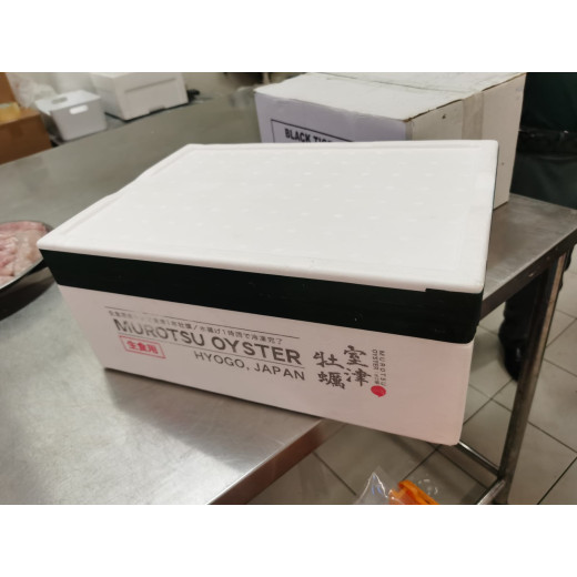 One Dozen Murotsu Oysters Sashimi Grade (M Size)